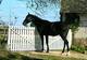 Photo A Cheval !!!