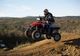 Activité groupes Aventure Quad 42 à Usson-en-Forez