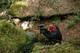 Photo Akrobranch d'Orlu