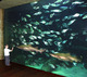 Aquashow à Audierne