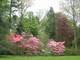 Arboretum de Balaine à Villeneuve-sur-Allier