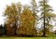 Photo Arboretum de Neuvic d'Ussel