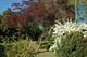 Photo Arboretum des Pouyouleix