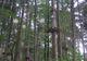 Photo Arbr'Ascension du Nideck