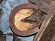 Association Fort et Patrimoine à Seyne les Alpes