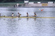 Association Sportive Mantaise d'Aviron à Mantes-la-Jolie
