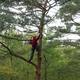 Photo Atout Branches