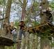 Photo Atout Branches