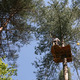Aventure Floreval à Bruyères-le-Châtel