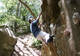 Photo Aventure Loisirs Organisation