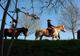 Photo Base de Loisirs de la Rincerie
