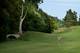Photo Blue Green Golf d'Houlgate