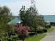 Photo Camping Les Pins