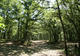 Photo Camping La Paille Basse