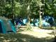 Photo Camping les Coquelicots