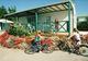 Photo Camping Les Tulipes