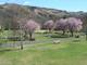 Photo Camping Municipal du Mas