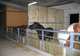 Photo Centre Equestre de Cherveux