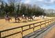 Photo Centre Equestre de Cherveux