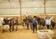 Photo Centre Equestre de la Roche Posay