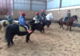 Photo Centre Equestre de la Roche Posay
