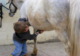 Photo Centre Equestre de la Roche Posay