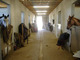 Photo Centre équestre de Naves