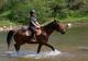Centre equestre des Combes Randonnées Inititations à Chandolas