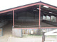 Photo Centre Équestre Didier Fraysse Eurl