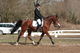 Photo Centre Equestre et Poney-Club la Fourerie