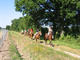Photo Centre Equestre Le Rio Javar