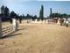 Photo Centre Hippique et Poney Club de la Jonction