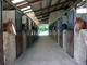Photo Centre équestre du Sepey