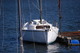 Photo Cercle Nautique de Bourgogne