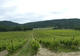 Photo Château la Coste