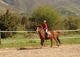 Cheval Vert à Arrigas