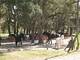 Photo Club Hippique et Poney-Club de Poudenas