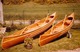 Descente de rivières en canoë-kayak à Saint-Aignan