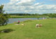 Photo Base Nautique des Couflons
