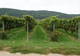 Photo Domaine de Saint Octime