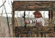Photo Domaine des Arcades Sarl