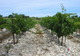 Photo Domaine des Sauvaire