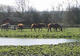 Photo Domaine du Milieu