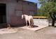 Photo Domaine Équestre au Moulin de l'Aubaygues