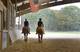 Photo Domaine Equestre du Haut Plessis