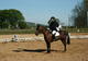École Élémentaire d Équitation Jean Louis Pidolle à Novéant-sur-Moselle