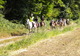 Photo Ecuries du Marikev