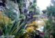 Photo Eden Parc, Le Jardin d'Eden