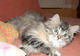 Photo Elevage Axandyne