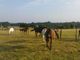 Photo Equi-Libre